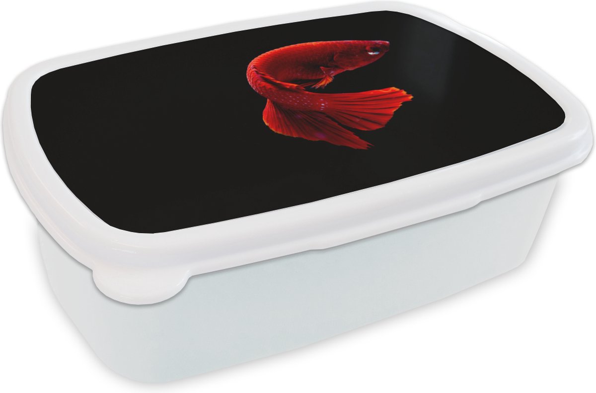 Broodtrommel Wit - Lunchbox - Brooddoos - Vis - Zeedier - Staart - Rood - 18x12x6 cm - Volwassenen