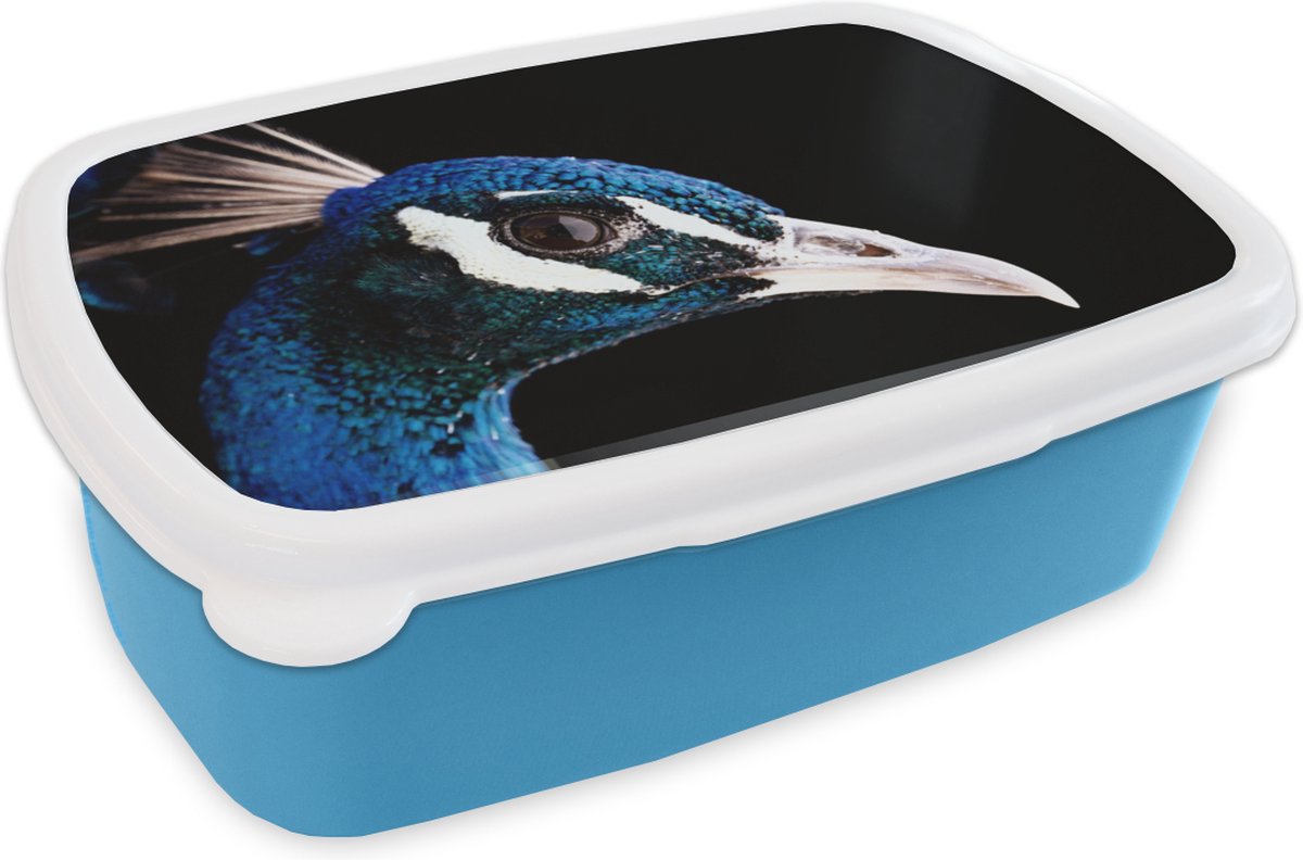 Broodtrommel Blauw - Lunchbox - Brooddoos - Pauw - Dier - Blauw - 18x12x6 cm - Kinderen - Jongen