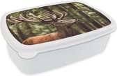 Broodtrommel Wit - Lunchbox - Brooddoos - Hert in een bos - 18x12x6 cm - Volwassenen