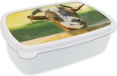 Broodtrommel Wit - Lunchbox - Brooddoos - Geit - Dieren - Hek - Hoorn - 18x12x6 cm - Volwassenen