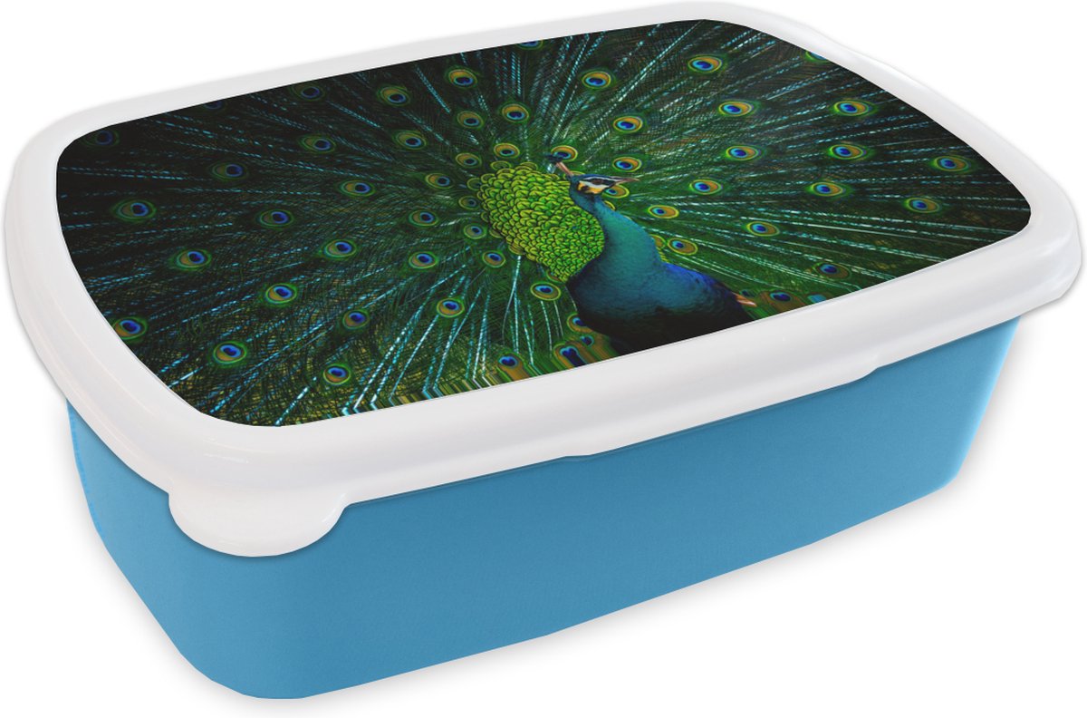 Broodtrommel Blauw - Lunchbox - Brooddoos - Pauw - Dansen - Kleur - 18x12x6 cm - Kinderen - Jongen