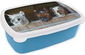 Broodtrommel Blauw - Lunchbox - Brooddoos - Paarden - Dieren - Vacht - Stal - 18x12x6 cm - Kinderen - Jongen