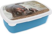 Broodtrommel Blauw - Lunchbox - Brooddoos - Dieren - Nijlpaarden - Baby - 18x12x6 cm - Kinderen - Jongen