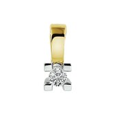 Hanger Diamant 0.075ct H Si