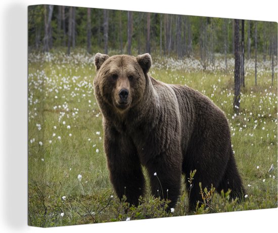 Canvas Schilderij Bruine beer in het bos - 30x20 cm - Wanddecoratie