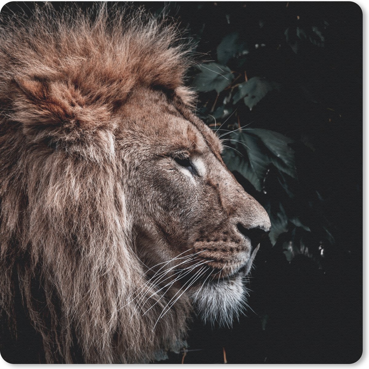 Muismat 30x30 cm - Mousepad Leeuw - Bladeren - Dieren - Muismatten