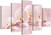 Trend24 - Canvas Schilderij - Orchid Op Een Rots - Vijfluik - Bloemen - 100x70x2 cm - Roze