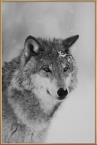 JUNIQE - Poster met kunststof lijst The Wolf -13x18 /Grijs
