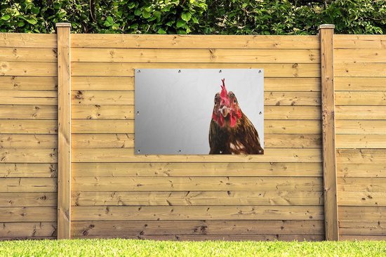Affiche de jardin gros plan coq 120x80 cm - Toile de jardin / Toile d'extérieur / Peintures d'extérieur (décoration de jardin)