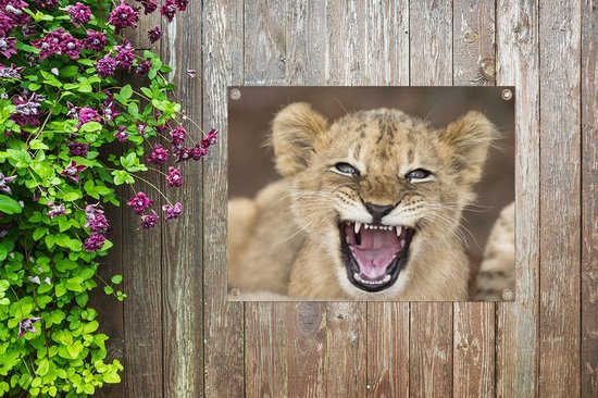 Décoration de Jardin Sauvage - Lion - Jeune - 40x30 cm - Toile de jardin