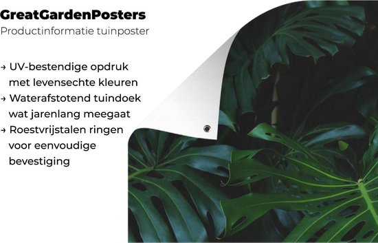 Posters de jardin Jungle - Vert - Feuilles - 60x90 cm - Toile de jardin