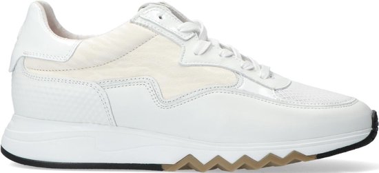 floris van bommel femme