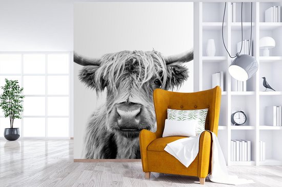 Papier peint - Papier peint photo Vache - Highlander écossais - Zwart - Wit - Largeur 190 cm x hauteur 260 cm