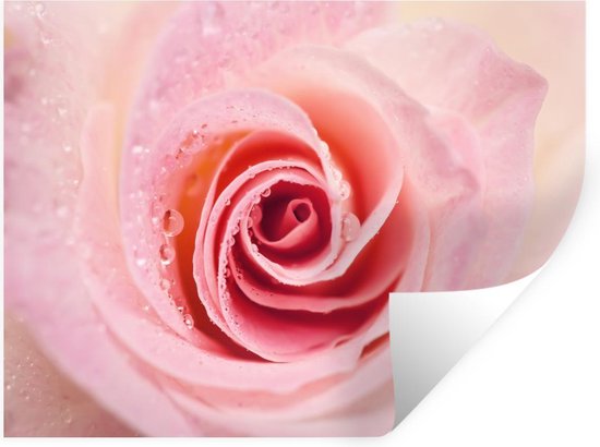 Stickers Stickers muraux - Fleurs - Rose - Roses - 120x90 cm - Film adhésif