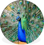 Cercle Mural - Cercle Mural - Paon - Ressorts - Blauw - Aluminium - Dibond - 90x90 cm - Intérieur et Extérieur