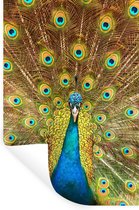 Stickers muraux - Sticker Feuille - Paon - Vogel - Blauw - 40x60 cm - Feuille Adhésive - Stickers muraux Chambre Enfant - Papier Peint Auto Adhésif