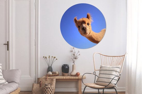 WallCircle - Wall Circle - Wall Circle Indoor - Alpaga - Blauw - Ciel - 120x120 cm - Décoration murale - Peintures Ronds XXL