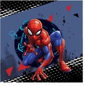 sierkussen Spider-Man jongens 40 cm polyester blauw