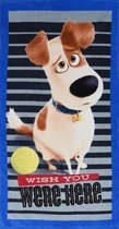 strandlaken The Secret Life of Pets blauw junior 70 x 140 cm