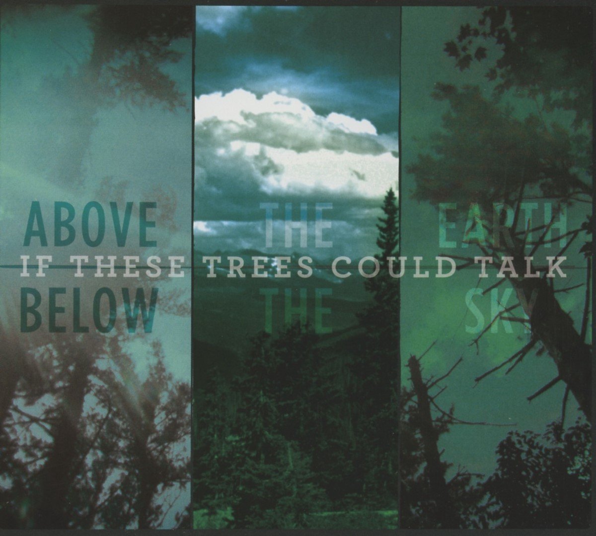 If These Trees Could Talk - Above The Earth, Below The Sky (CD)