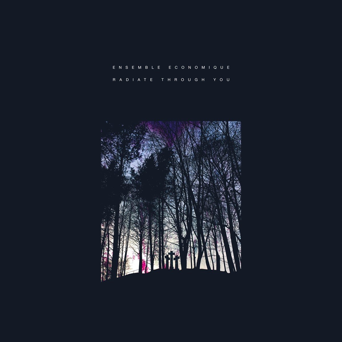 Ensemble Economique - Radiate Through You (CD)