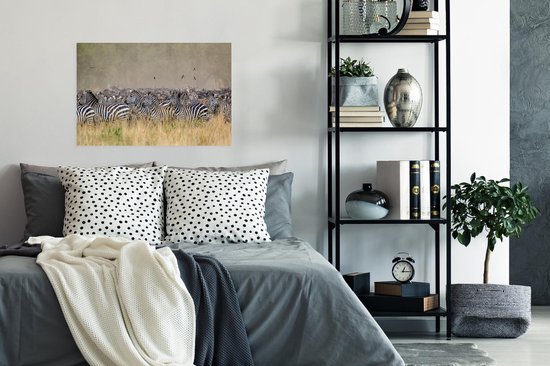 Affiche Zèbres chassés - 90x60 cm