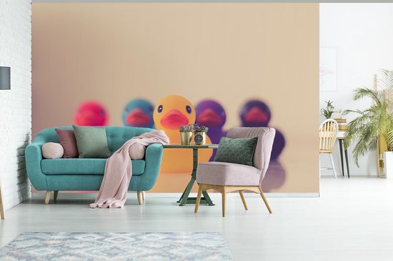 Papier peint photo peint vinyle - Différentes couleurs de canards sur fond blanc largeur 450 cm x hauteur 300 cm - Tirage photo sur papier peint (disponible en 7 tailles)