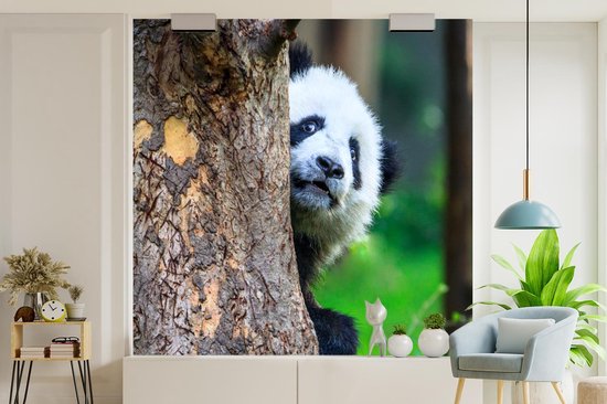 Papier peint - Papier peint photo Panda - Arbre - Forêt - Largeur 300 cm x Hauteur 300 cm