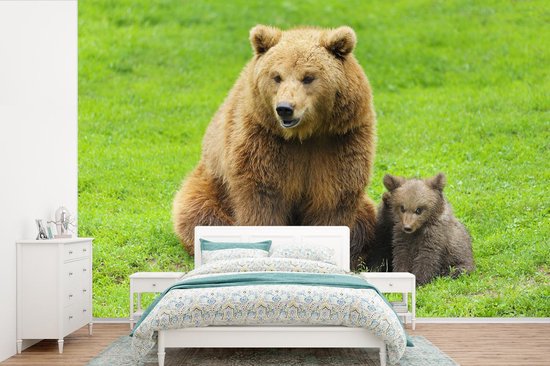 Papier peint photo vinyle - Ours brun avec son petit dans l'herbe largeur 420 cm x hauteur 280 cm - Tirage photo sur papier peint (disponible en 7 tailles)