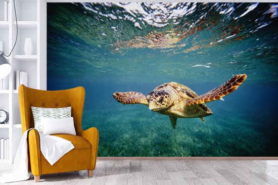 Behang - Fotobehang Schildpad - Water - Blauw - Breedte 525 cm x hoogte 350 cm