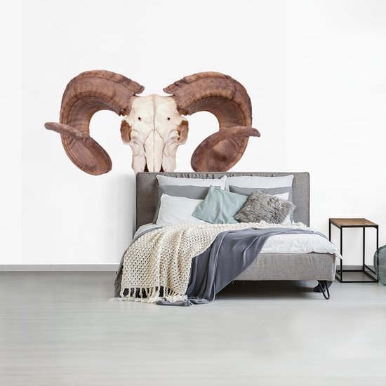 Papier peint photo vinyle - Un crâne de mouton sur fond blanc largeur 280 cm x hauteur 280 cm - Tirage photo sur papier peint (disponible en 7 tailles)