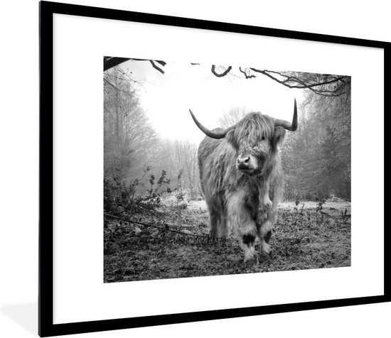 Fotolijst incl. Poster - Schotse Hooglander - Bos - Mist - Koe - Dieren - Natuur - 80x60 cm - Posterlijst