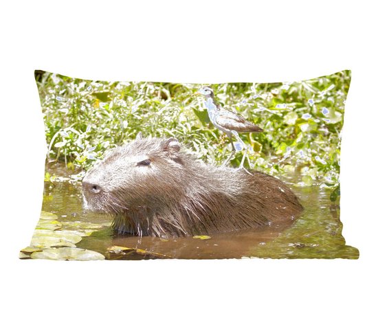 Sierkussens - Kussen - Een Capibara zit in het water met een vogel op zich - 50x30 cm - Kussen van katoen