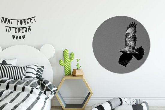 WallCircle - Wandcirkel - Muurcirkel - Buizerd beeldt zich af tegen de heldere hemel - zwart wit - Aluminium - Dibond - ⌀ 90 cm - Binnen en Buiten