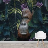 Artistic Lab Poster - Jungle Orangutan - 250 X 240 Cm - Multicolor