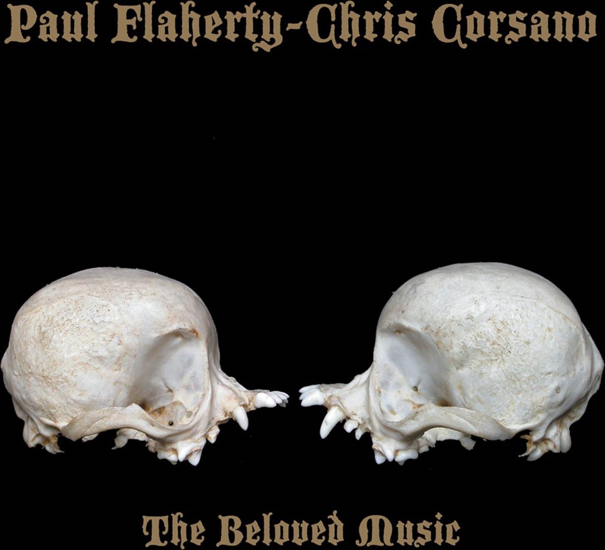 Paul Flaherty & Chris Corsano - The Beloved Music (CD)