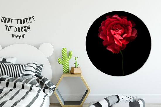 Renoncule rouge avec fond noir Sticker mural cercle mural ⌀ 140 cm / cercle papier peint / cercle mural / cercle vivant - autocollant & découpe ronde
