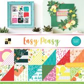 Hobbypapier - Journaling, Scrapbooking, Kaarten maken - American Crafts -DCWV 30,5x30,5cm x36 easy peasy