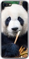 Geschikt voor iPhone 8 hoesje - Panda - Bamboe - Natuur - Siliconen Telefoonhoesje