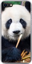 iPhone 7 hoesje - Panda - Bamboe - Natuur - Siliconen Telefoonhoesje