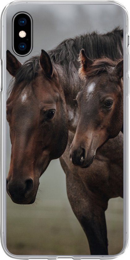 Coque iPhone Xs Max - Paarden - Brouillard - Paysage - Siliconen