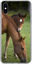 Geschikt voor iPhone Xs hoesje - Paarden - Gras - Portret - Siliconen Telefoonhoesje