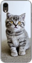 Geschikt voor iPhone XR hoesje - Kitten - Ogen - Geel - Meisjes - Kinderen - Jongens - Kids - Siliconen Telefoonhoesje