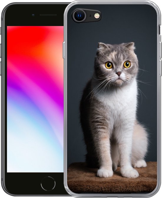 Coque iPhone 8 - Chat - Animaux domestiques - Léger - Siliconen | bol.com