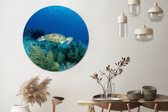 WallCircle - Peinture - Tortue De Mer Verte Bonaire Et - Multicolore - 140 X 140 Cm