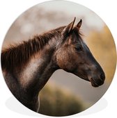 WallCircle - Wandcirkel ⌀ 90 - Paard - Bos - Portret - Ronde schilderijen woonkamer - Wandbord rond - Muurdecoratie cirkel - Kamer decoratie binnen - Wanddecoratie muurcirkel - Woonaccessoires