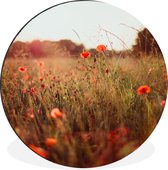 WallCircle - Wandcirkel - Muurcirkel - Zonsondergang - Bloemen - Rood - Aluminium - Dibond - ⌀ 60 cm - Binnen en Buiten