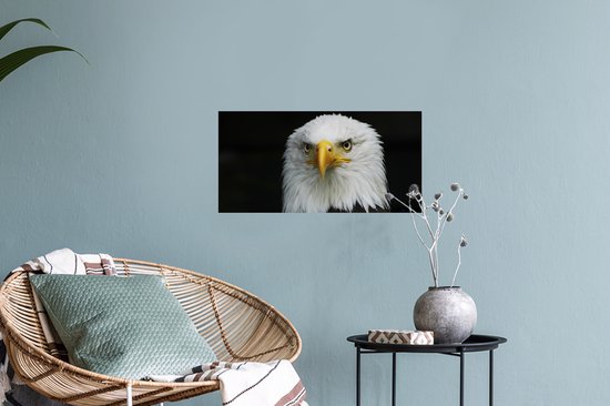 Stickers muraux - Film autocollant - Aigle - Zwart - Wit - 40x20 cm - Film adhésif - Stickers muraux Chambre d'enfant - Papier peint autocollant - Papier peint autocollant - Film autocollant