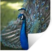 Stickers muraux - Film autocollant - Paon - Vogels - Blauw - 80x80 cm - Film adhésif - Stickers muraux Chambre d'enfant - Papier peint autocollant - Papier peint autocollant - Film autocollant