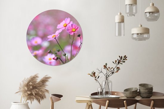 Fleurs - Extérieur - Rose